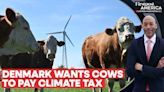 Denmark: Cows to Pay $100 Tax For Their Burps and Farts