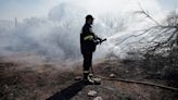 Greece battles wildfires fanned by strong winds, evacuates villages