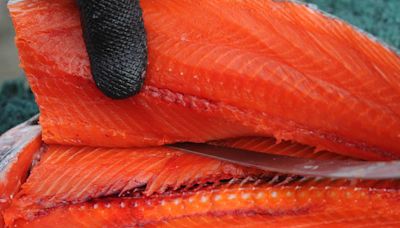 Studies show there are likely more ‘sushi worms’ in Alaska salmon and other fish than there used to be
