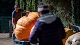 Halloween in Fort Collins: Sweet (and spooky) things to do around Fort Collins in October