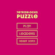 Tetrablocks Puzzle