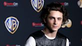 Timothée Chalamet Bob Dylan Movie Reportedly Gets Streaming Release