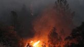 Científicos relacionan los incendios forestales estivales de California con el cambio climático