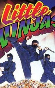 Little Ninjas