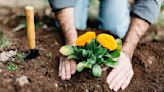 Expert reveals jobs you should do in June to create an enviable garden