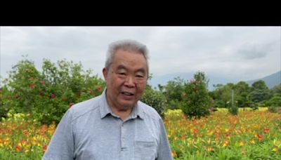 花蓮萱草花田盛開 母親節應景賞花一掃地震陰霾