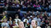 MHSAA girls basketball: Niles Brandywine runs away from Lake City, into Division 3 final