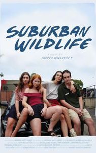 Suburban Wildlife