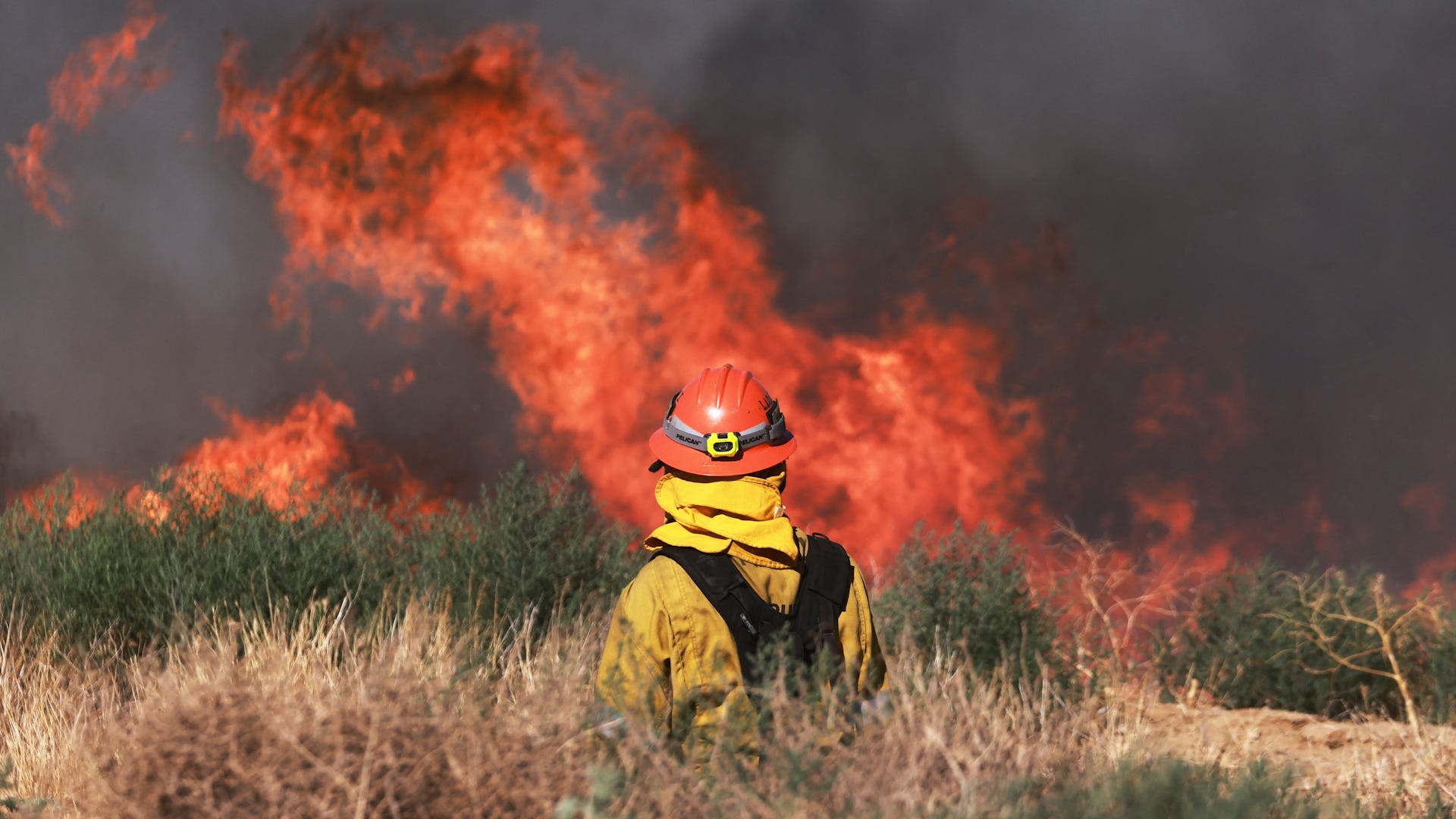 California wildfires force evacuations of thousands; Sonoma County wineries dodge bullet