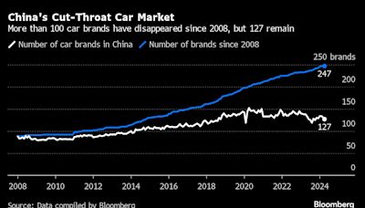 China’s EV Makers Got $231 Billion Aid Over 15 Years, Study Says