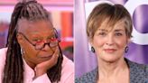 “The View” hosts say Sharon Stone 'needlessly shamed' Billy Baldwin with sex claim: 'Why bring it up anyway?'