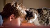 Here's The Real Reason Why Your Cat Headbutts You, And It's Pretty Heartwarming