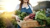 Join a Community Supported Agriculture Program to Save on Food