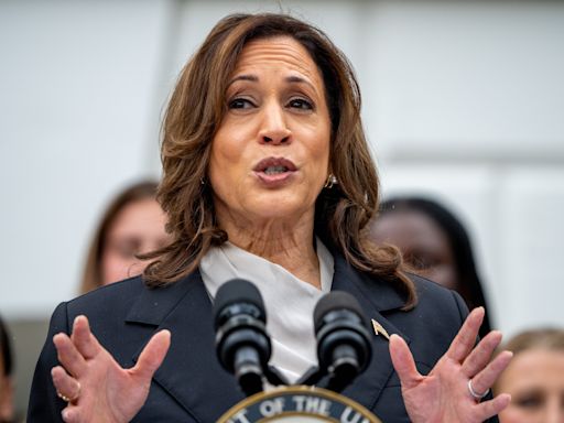 Kamala Harris' economic policies may largely mirror Biden's, from taxes to immigration