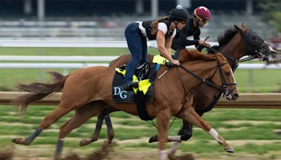 Society Man jockey, trainer, odds and more to know about Kentucky Derby 2024 horse