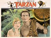 Tarzan und der goldene Löwe