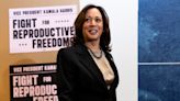 Kamala Harris declares 'health crisis' in historic visit to abortion clinic in Minnesota