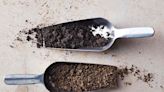 The Difference Between Potting Mix and Potting Soil—and When to Use Each