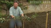 North Korea censored footage of a benign English gardening show because its presenter was wearing jeans