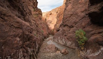 Lake Mead trails closing May 15 as summer heat builds