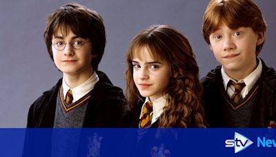 Could you be the next Daniel Radcliffe? Casting call opens for new Harry Potter series