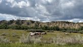 National Park Service to leave the wild horses in TRNP