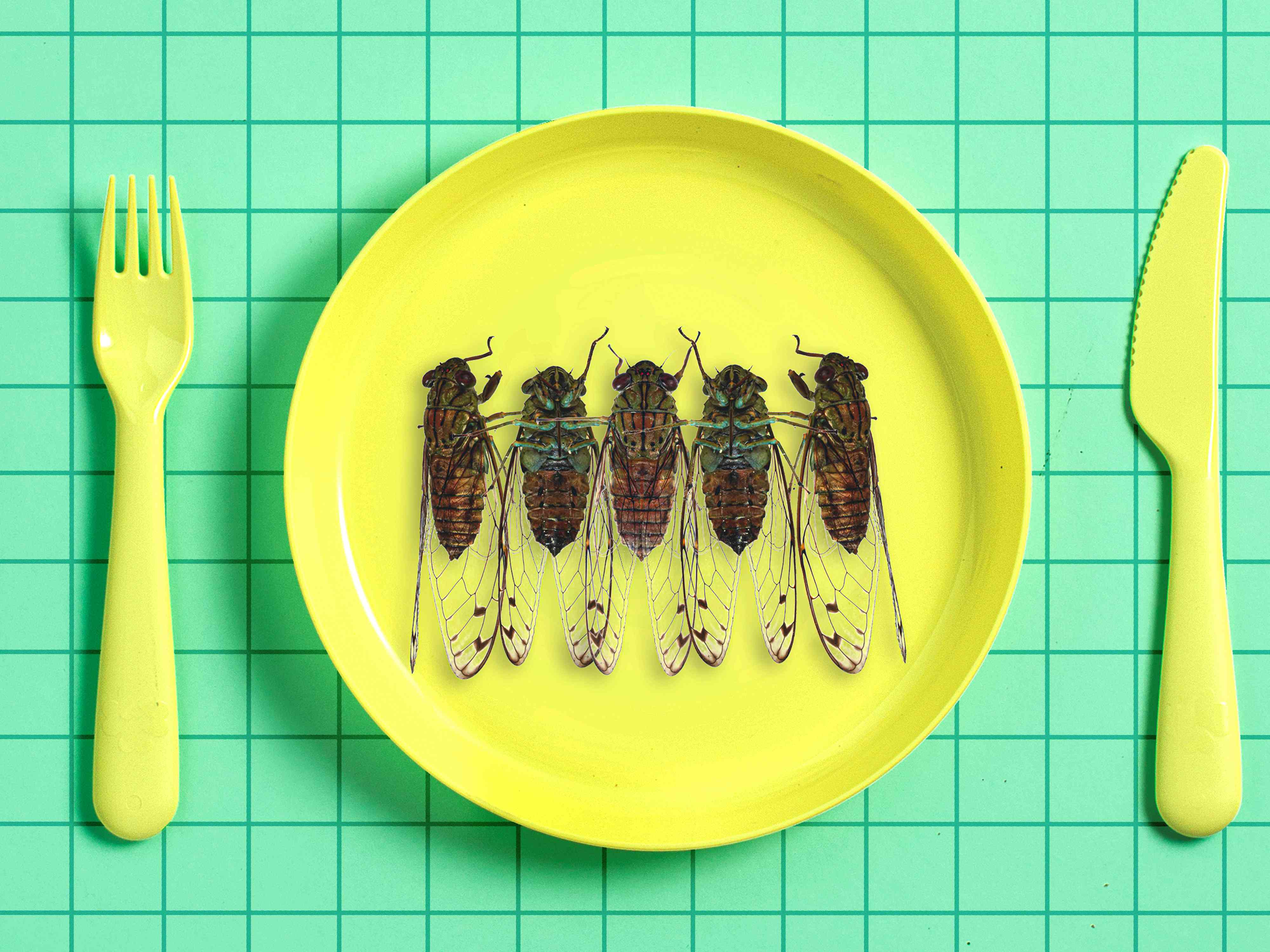 You Can and Should Eat Cicadas—Here's How