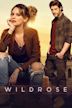 Wildrose