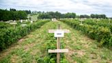 Building off its iconic success, Wilson's Orchard is expanding into the Des Moines metro