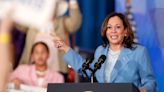 OPINION - Ostrich Joe Biden should hand over to Kamala Harris