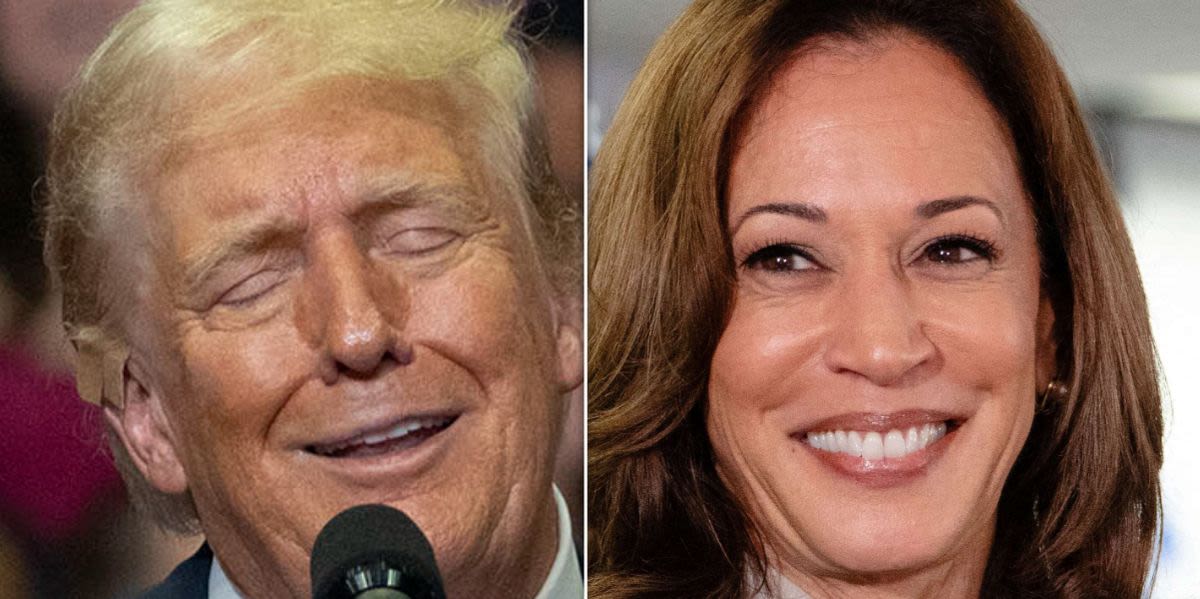 Trump's 4-Word Attack On Kamala Harris Gets Turned Back At Him In Most Humiliating Way