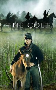 The Colt