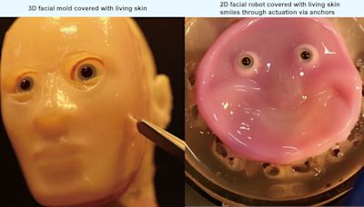 Consiguen crear robots con piel humana: el avance del científico Shoji Takeuchi que logra hacer sonreír a los humanoides