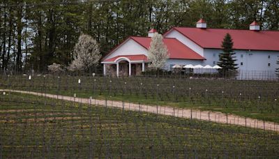 2 Michigan wine trails join worldwide alliance to protect names of wine regions