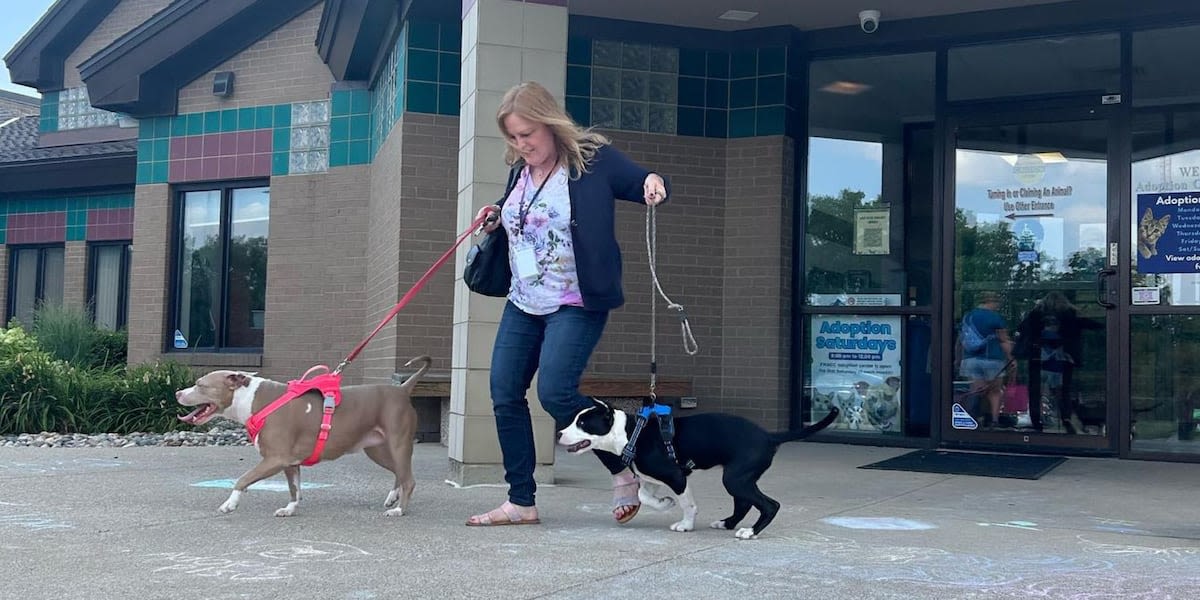 Talking with the new owners of ‘porta-potty puppy’