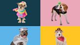 17 Dog Halloween Costumes That Are Too Cute Not to Buy Your Pooch