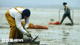 Morecambe Bay: Exhibition tribute to cockling victims