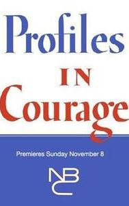 Profiles in Courage (TV series)