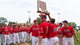 Tecumseh baseball advances to Class A state championship: 'A dream come true:'