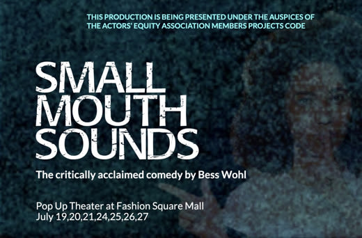 Small Mouth Sounds by Bess Wohl in Orlando at Pop Up Theater at Fahsion Square Mall 2024