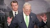 Schumer-led senators lay out $32B AI road map, largely punt on regulation