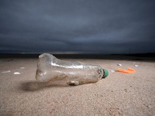 Drinking from plastic bottles can raise type 2 diabetes risk, study warns