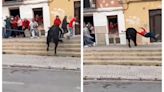 El Bou de les Penyes de Ontinyent finaliza con siete cogidas y cuatro traslados al hospital