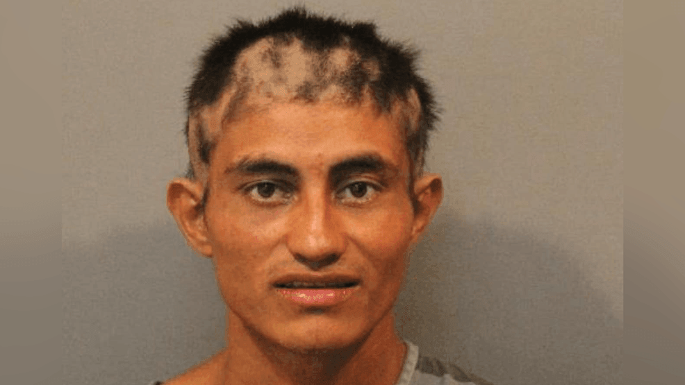 Illegal immigrant with 'documented' ties to MS-13 charged with stabbing Indiana girl