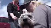 Dog reunites with owner after escaping during tornado