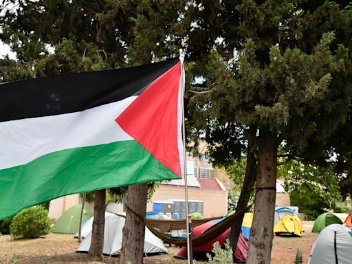 ¿Qué significa que España reconozca como Estado a Palestina? Los interrogantes que quedan pendientes