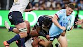 Waratahs look for swift improvement in Super Rugby Pacific