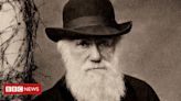 Em áudio | A visão de Charles Darwin sobre os escravizados no Brasil: 'Serão, no fim das contas, os governantes'