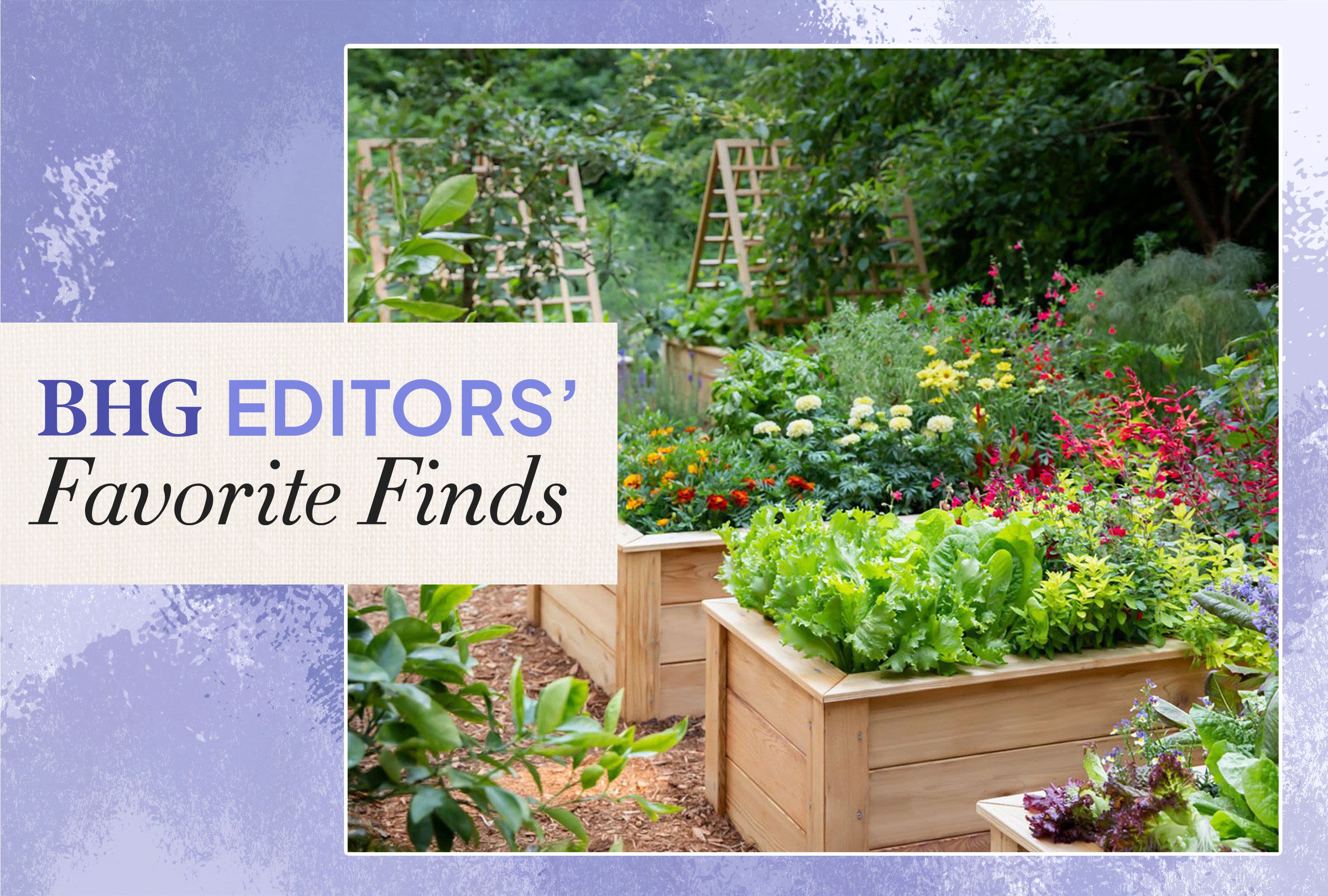 6 Gardening Must-Haves Our Home and Garden Editors Are Loving This Season