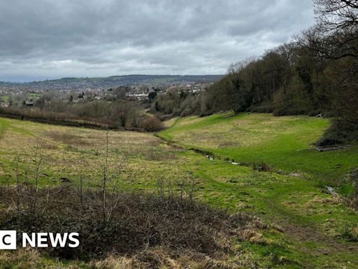 Beloved Stroud beauty spot cannot be sold for six months